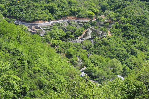 九公山长城纪念林景观